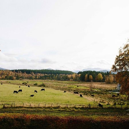 奈斯桥The Dell Of Abernethy - A Woodland Hideaway公寓 外观 照片