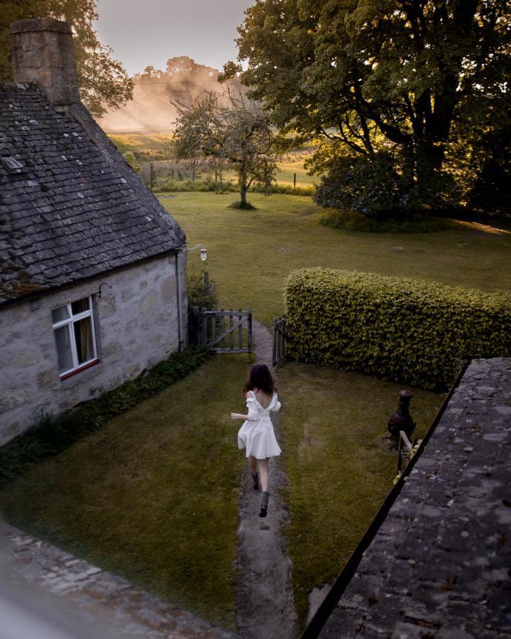 奈斯桥The Dell Of Abernethy - A Woodland Hideaway公寓 外观 照片