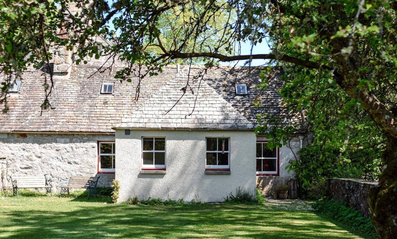 奈斯桥The Dell Of Abernethy - A Woodland Hideaway公寓 外观 照片
